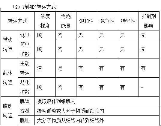 药物体内过程基础知识--执业药师考试知识点