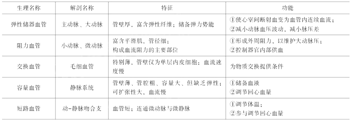 临床执业医师《生理学》考点：血管生理